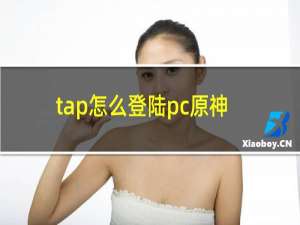 tap怎么登陆pc原神