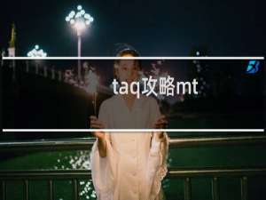 taq攻略mt