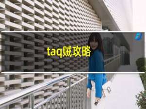 taq贼攻略