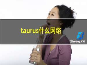 taurus什么网络意思（taurus什么意思）