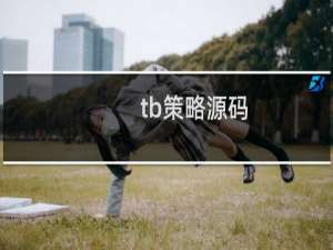 tb策略源码