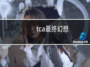 tca最终幻想