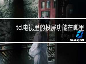 tcl电视里的投屏功能在哪里