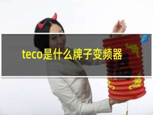 teco是什么牌子变频器