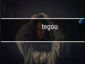 tegou.vip域名注册服务商查询