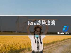 tera战场攻略