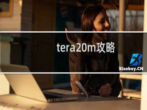 tera m攻略