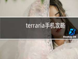 terraria手机攻略