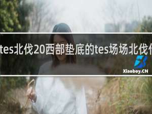 tes北伐 西部墊底的tes場場北伐什么梗