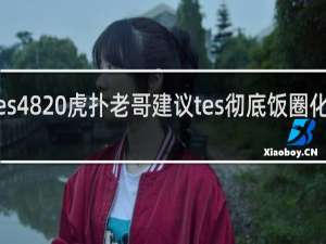 tes48 虎扑老哥建议tes彻底饭圈化什么梗
