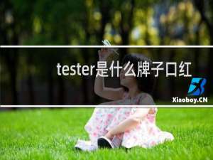 tester是什么牌子口红