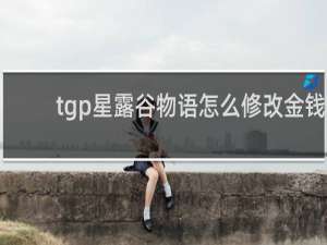 tgp星露谷物语怎么修改金钱