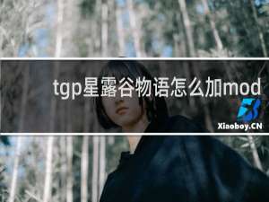 tgp星露谷物语怎么加mod