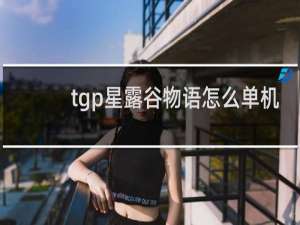 tgp星露谷物语怎么单机