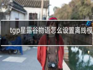 tgp星露谷物语怎么设置离线模式