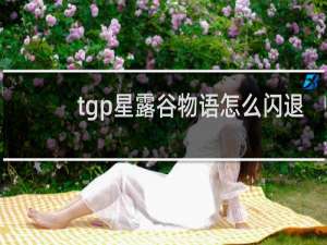tgp星露谷物语怎么闪退