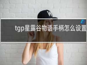 tgp星露谷物语手柄怎么设置
