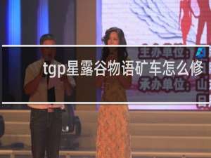 tgp星露谷物语矿车怎么修