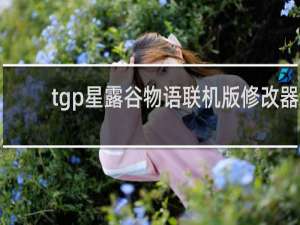 tgp星露谷物语联机版修改器