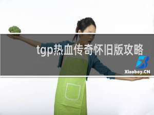 tgp热血传奇怀旧版攻略
