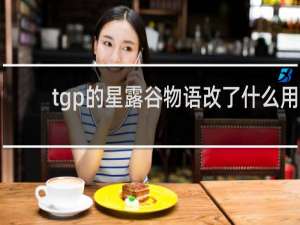 tgp的星露谷物语改了什么用