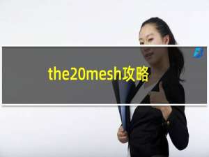 the mesh攻略