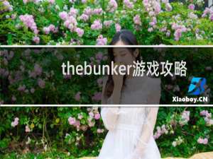 thebunker游戏攻略