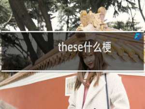 these什么梗