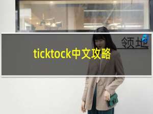 ticktock中文攻略