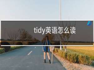 tidy英语怎么读