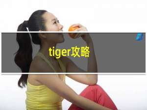 tiger攻略