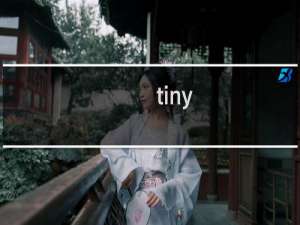 tiny rails攻略
