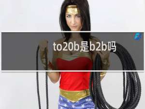 to b是b2b吗