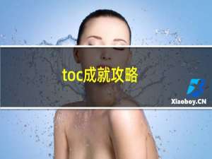 toc成就攻略