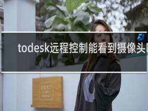 todesk远程控制能看到摄像头吗