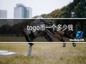 togo币一个多少钱