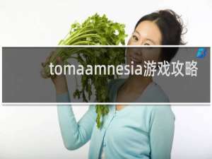 tomaamnesia游戏攻略