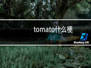 tomato什么梗