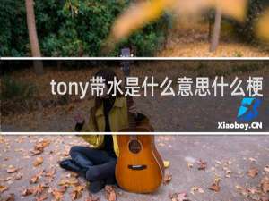 tony带水是什么意思什么梗