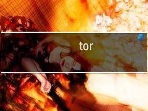 tor.exe是什么进程