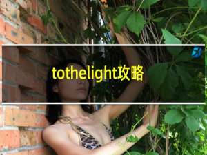tothelight攻略