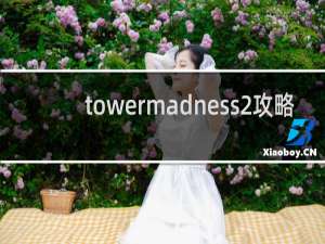 towermadness2攻略