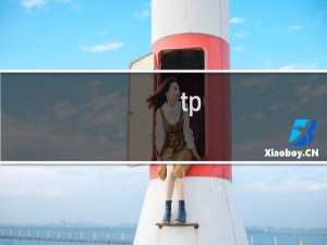 tp（link无线路由器设置与安装）