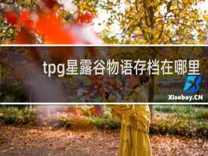 tpg星露谷物语存档在哪里