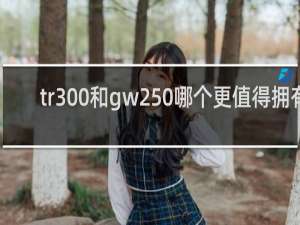 tr300和gw250哪个更值得拥有