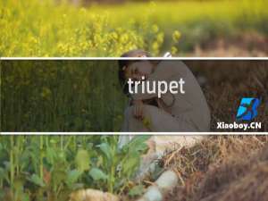 triupet.com解析后打开网站错误，其他地址能打开比如