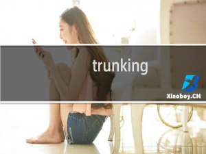 trunking