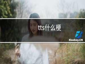 tts什么梗