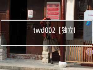 twd002【独立IP】服务器下程序经常卡死，访问一直在加载