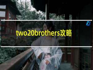 two brothers攻略